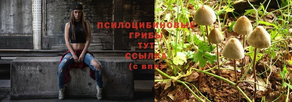 соль ск Абинск