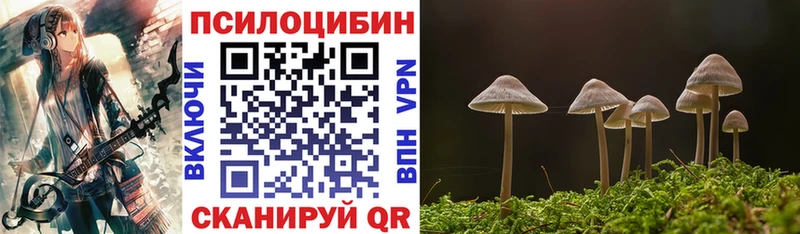 Псилоцибиновые грибы мухоморы  Энгельс 