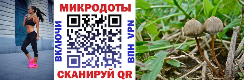 Галлюциногенные грибы мухоморы Энгельс